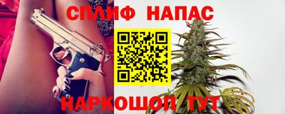 mdpv Краснознаменск