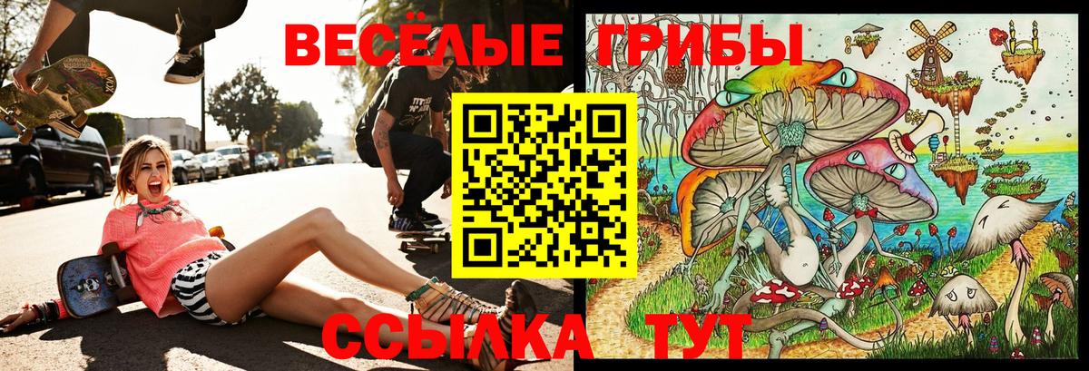 Cocaine  Конопля  Гашиш  Альфа ПВП СК кристаллы  Гатчина  Меф   Вход с VPN  ГАШ 